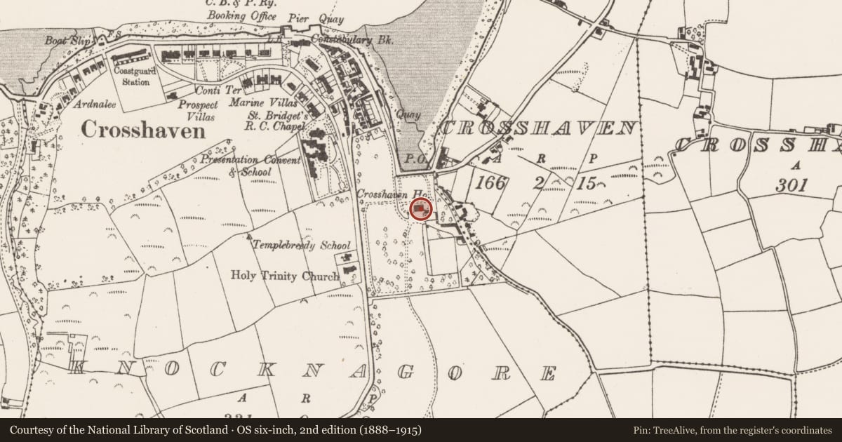 Ordnance Survey six-inch map, 2nd edition (1888–1915) covering the location of Country house, Knocknagore, County Cork, with a pin at the register's coordinates