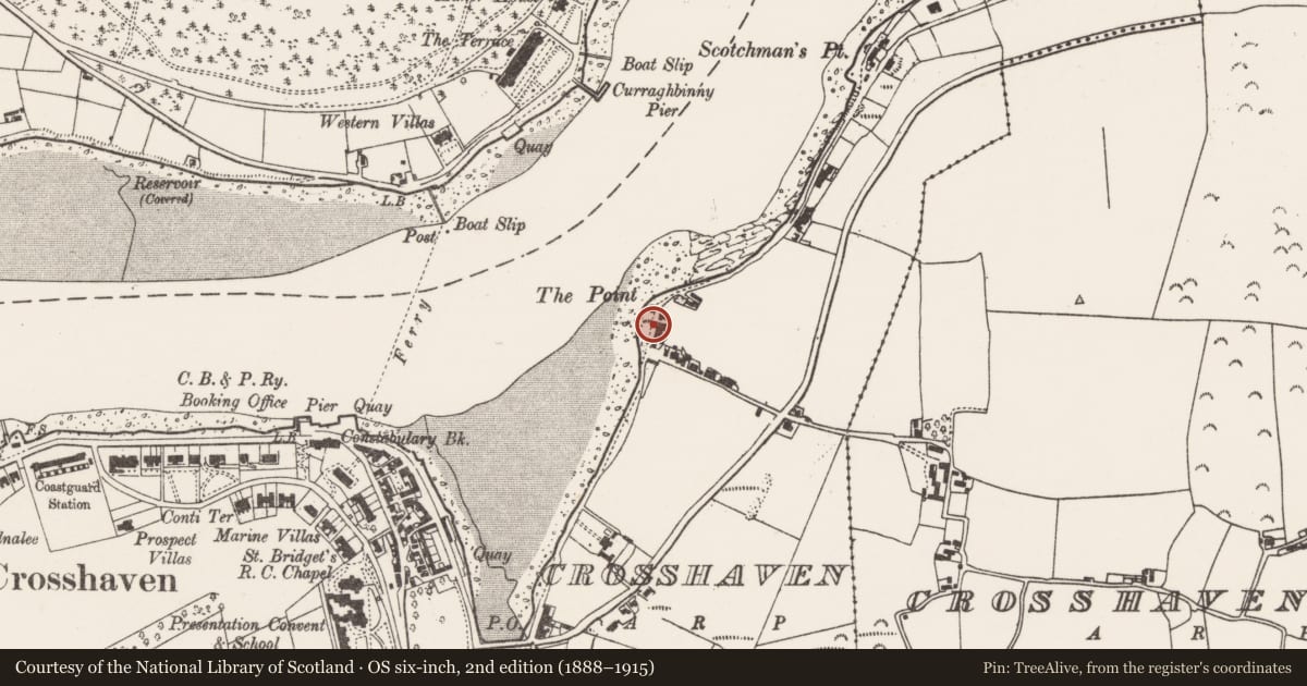 Ordnance Survey six-inch map, 2nd edition (1888–1915) covering the location of Castle - unclassified, Crosshaven, County Cork, with a pin at the register's coordinates