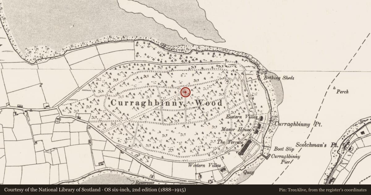 Ordnance Survey six-inch map, 2nd edition (1888–1915) covering the location of Cairn - unclassified, Curraghbinny, County Cork, with a pin at the register's coordinates