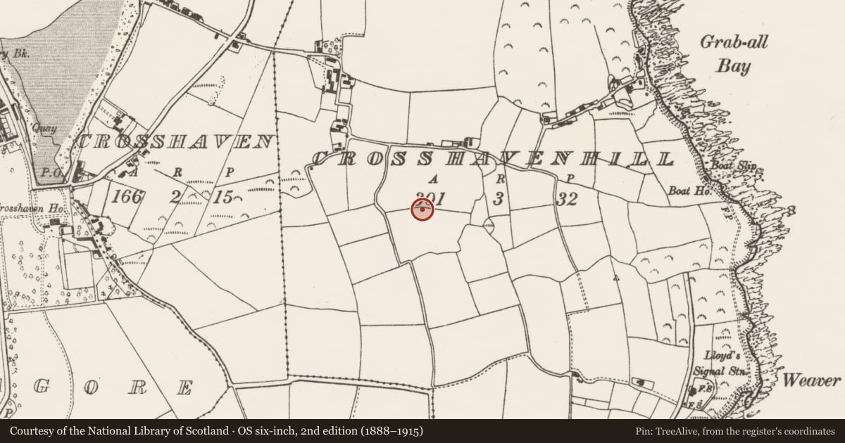 Ordnance Survey six-inch map, 2nd edition (1888–1915) covering the location of Ringfort - rath, Crosshaven Hill, County Cork, with a pin at the register's coordinates