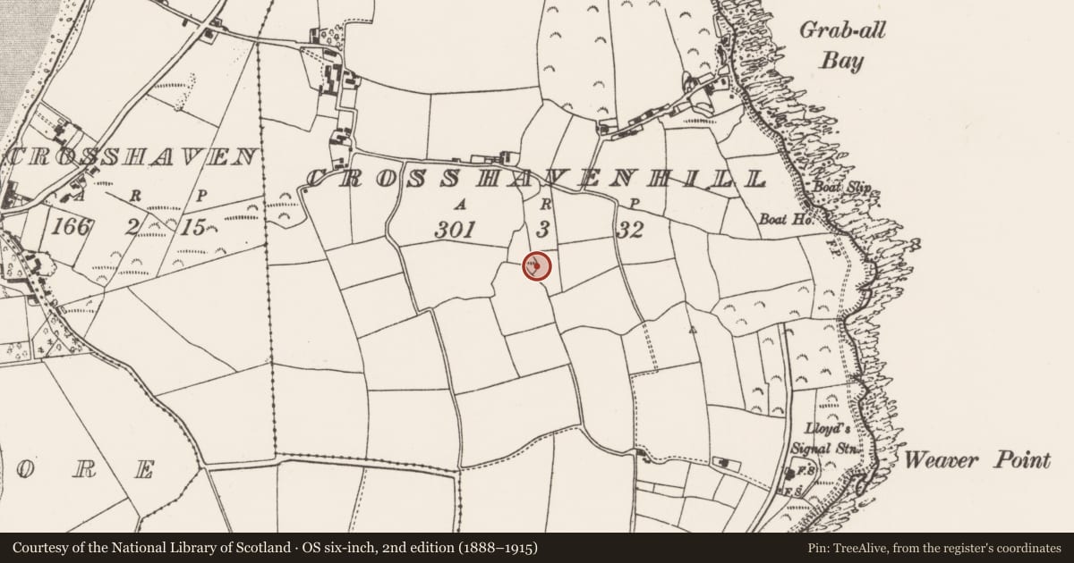Ordnance Survey six-inch map, 2nd edition (1888–1915) covering the location of Ringfort - rath, Crosshaven Hill, County Cork, with a pin at the register's coordinates