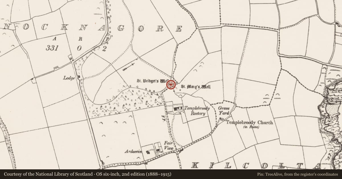 Ordnance Survey six-inch map, 2nd edition (1888–1915) covering the location of Ritual site - holy well, Knocknagore, County Cork, with a pin at the register's coordinates