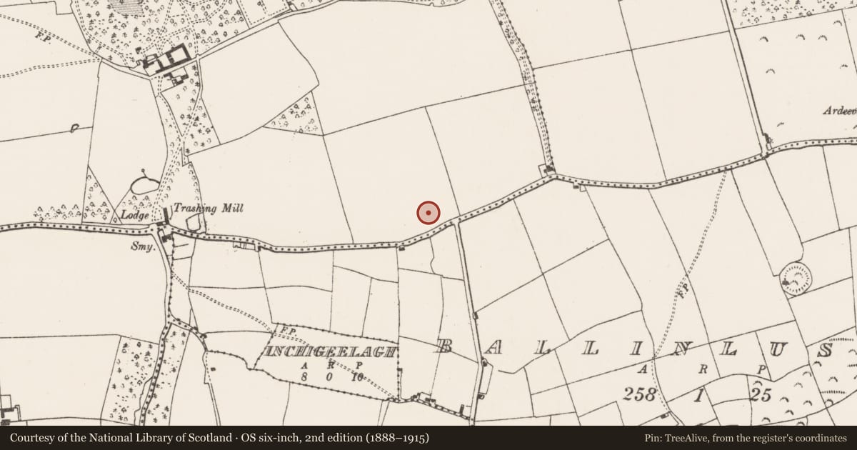 Ordnance Survey six-inch map, 2nd edition (1888–1915) covering the location of Ringfort - rath, Hoddersfield, County Cork, with a pin at the register's coordinates