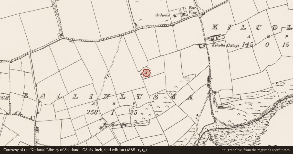 Ordnance Survey six-inch map, 2nd edition (1888–1915) covering the location of Ringfort - rath, Ballinluska, County Cork, with a pin at the register's coordinates