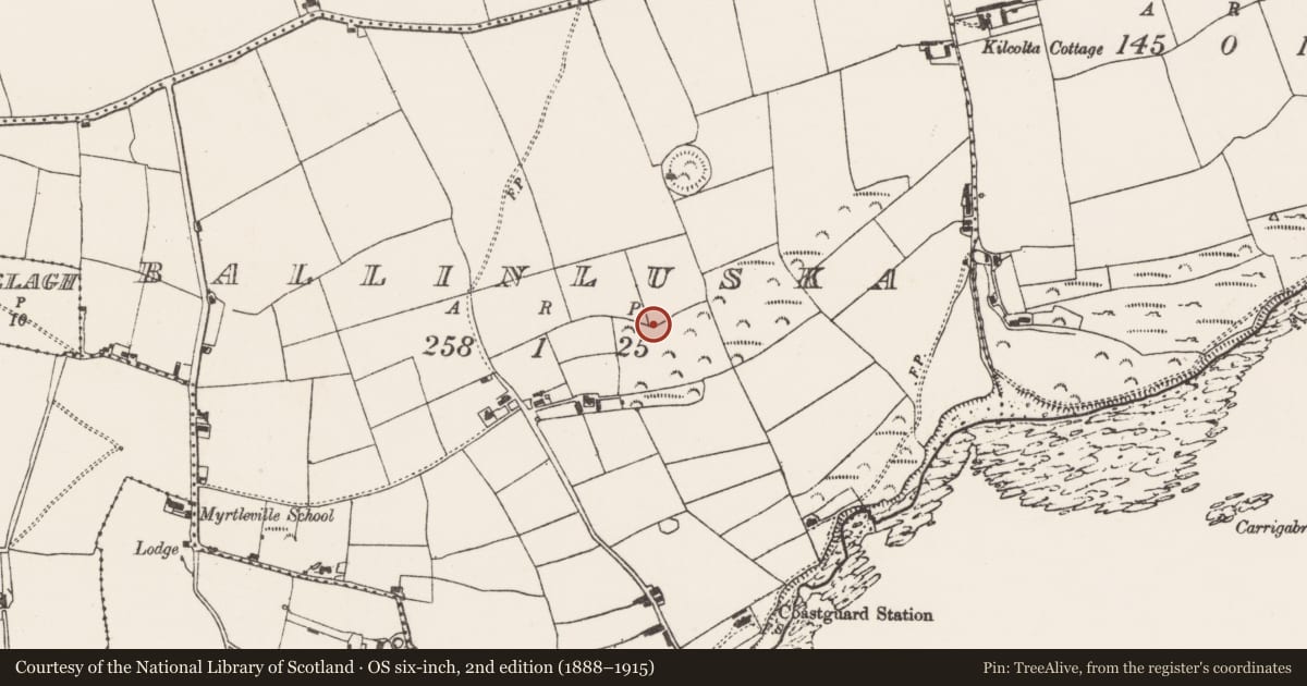 Ordnance Survey six-inch map, 2nd edition (1888–1915) covering the location of Earthwork, Ballinluska, County Cork, with a pin at the register's coordinates