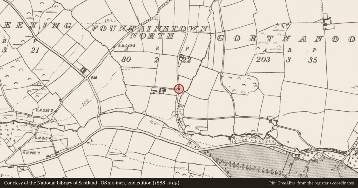 Ordnance Survey six-inch map, 2nd edition (1888–1915) covering the location of Church, Fountainstown North, County Cork, with a pin at the register's coordinates