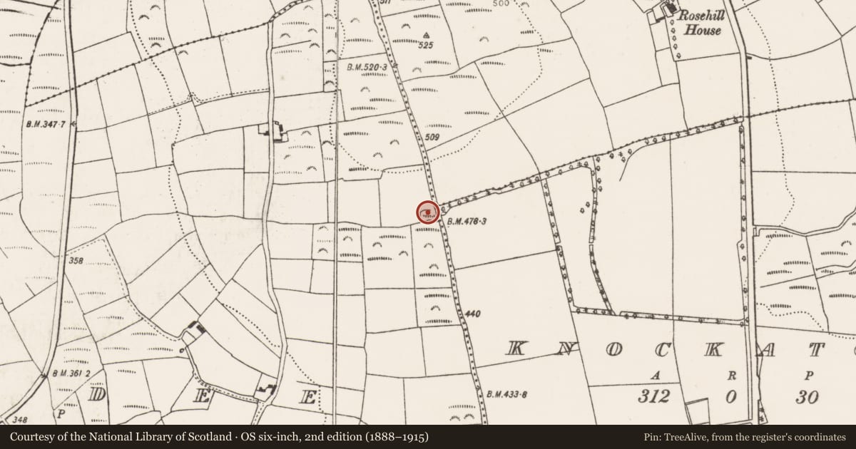Ordnance Survey six-inch map, 2nd edition (1888–1915) covering the location of Ringfort - rath, Boardee, County Cork, with a pin at the register's coordinates