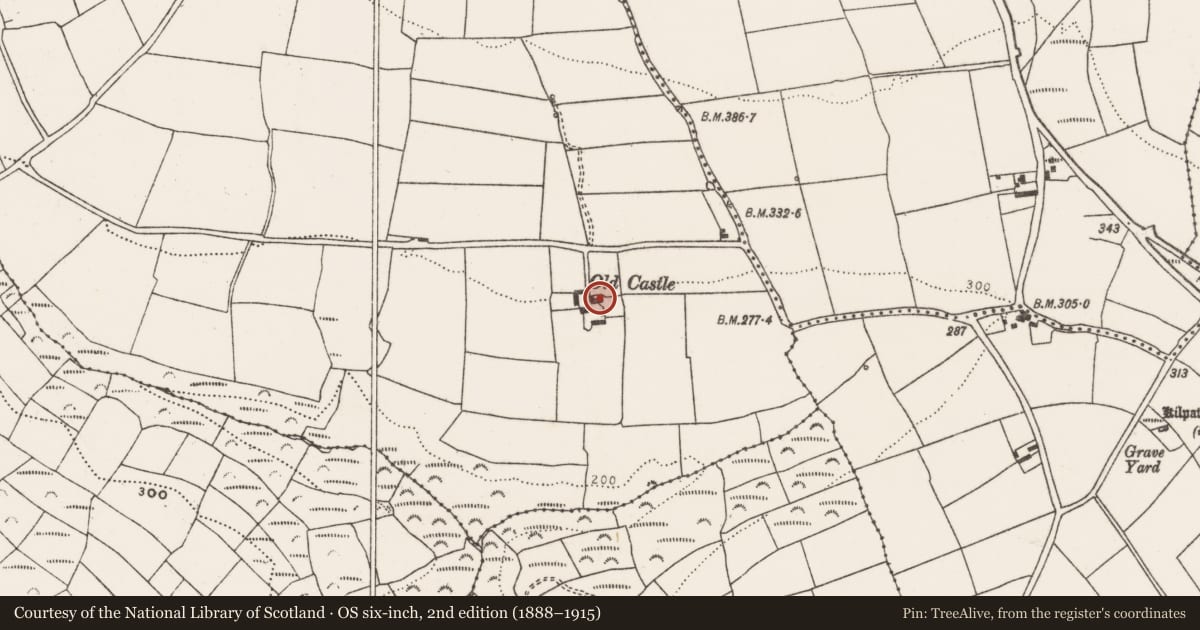 Ordnance Survey six-inch map, 2nd edition (1888–1915) covering the location of Country house, Boardee, County Cork, with a pin at the register's coordinates