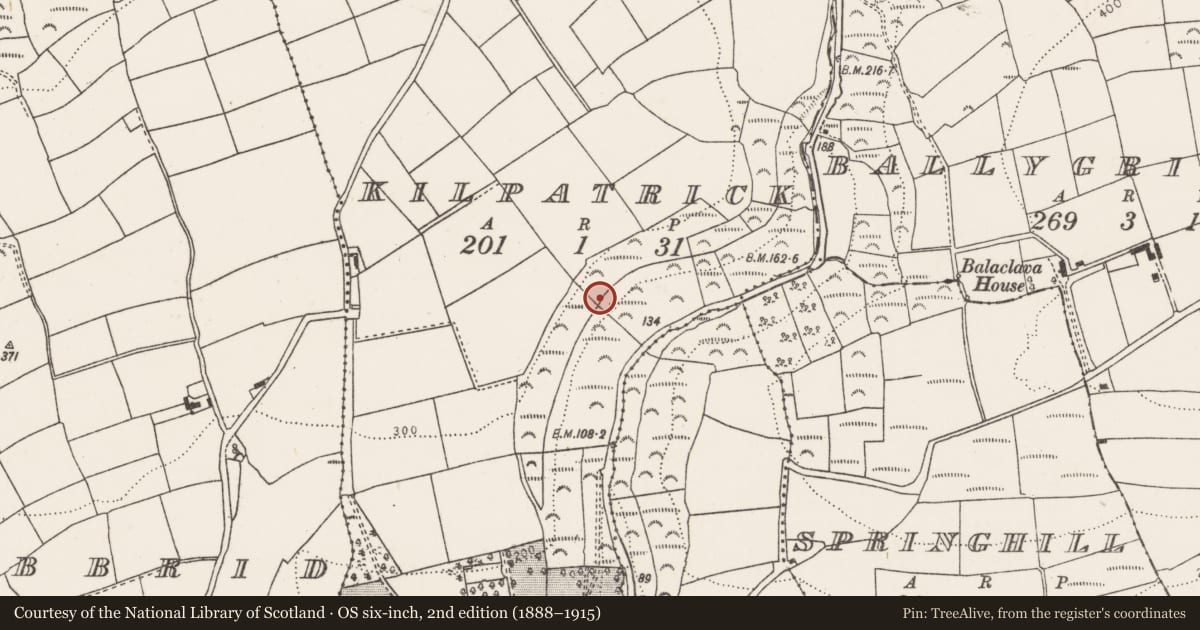 Ordnance Survey six-inch map, 2nd edition (1888–1915) covering the location of Ritual site - holy well, Kilpatrick, County Cork, with a pin at the register's coordinates