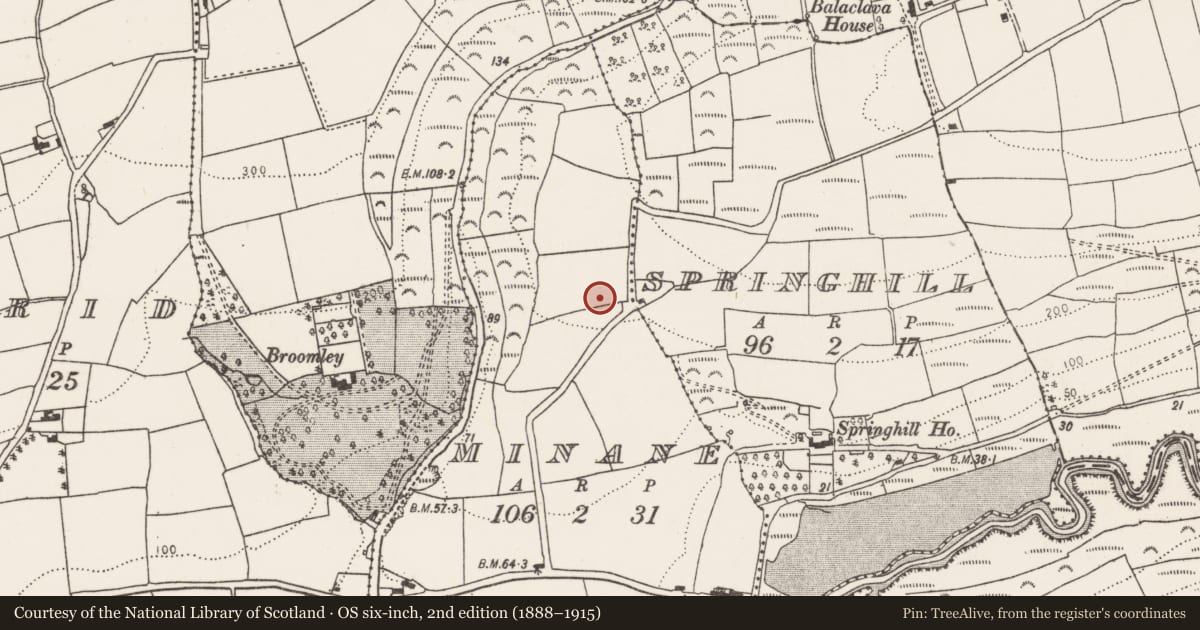 Ordnance Survey six-inch map, 2nd edition (1888–1915) covering the location of Ringfort - rath, Minane, County Cork, with a pin at the register's coordinates