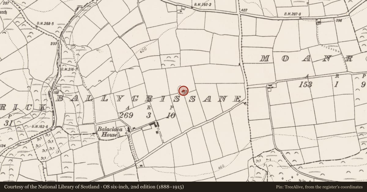 Ordnance Survey six-inch map, 2nd edition (1888–1915) covering the location of Ringfort - rath, Ballygrissane, County Cork, with a pin at the register's coordinates