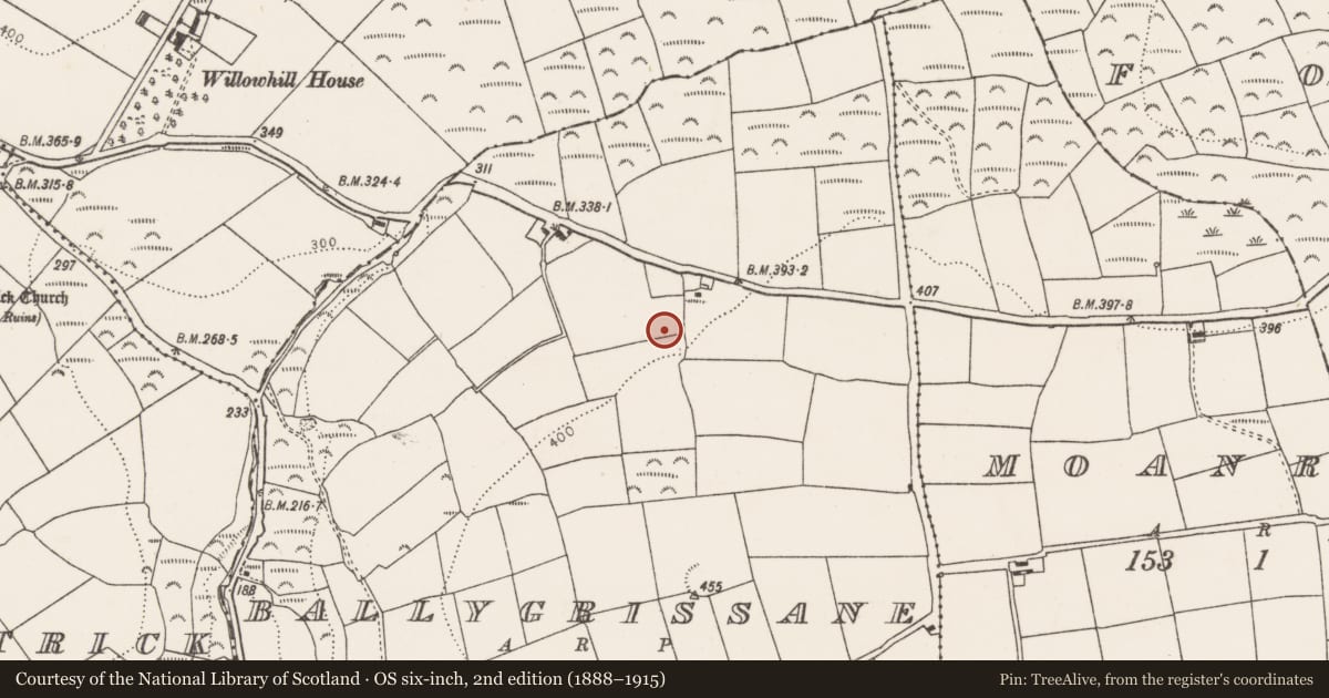 Ordnance Survey six-inch map, 2nd edition (1888–1915) covering the location of Standing stone, Ballygrissane, County Cork, with a pin at the register's coordinates