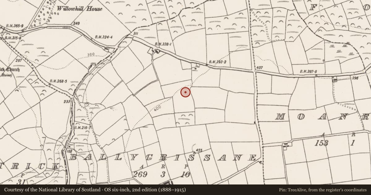 Ordnance Survey six-inch map, 2nd edition (1888–1915) covering the location of Standing stone, Ballygrissane, County Cork, with a pin at the register's coordinates