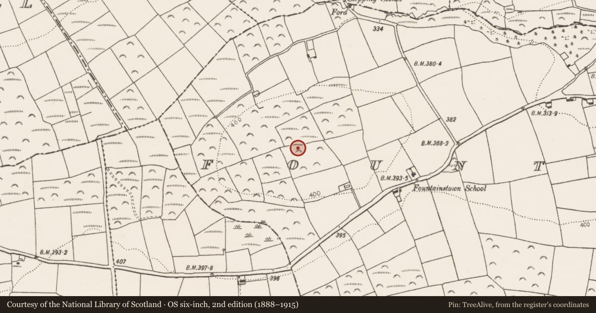 Ordnance Survey six-inch map, 2nd edition (1888–1915) covering the location of Ringfort - rath, Fountainstown, County Cork, with a pin at the register's coordinates