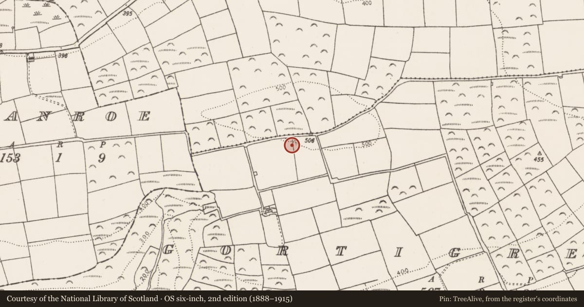 Ordnance Survey six-inch map, 2nd edition (1888–1915) covering the location of Ringfort - rath, Gortigrenane, County Cork, with a pin at the register's coordinates