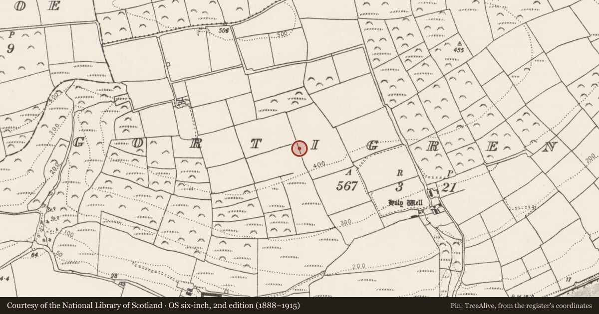 Ordnance Survey six-inch map, 2nd edition (1888–1915) covering the location of Ringfort - rath, Gortigrenane, County Cork, with a pin at the register's coordinates