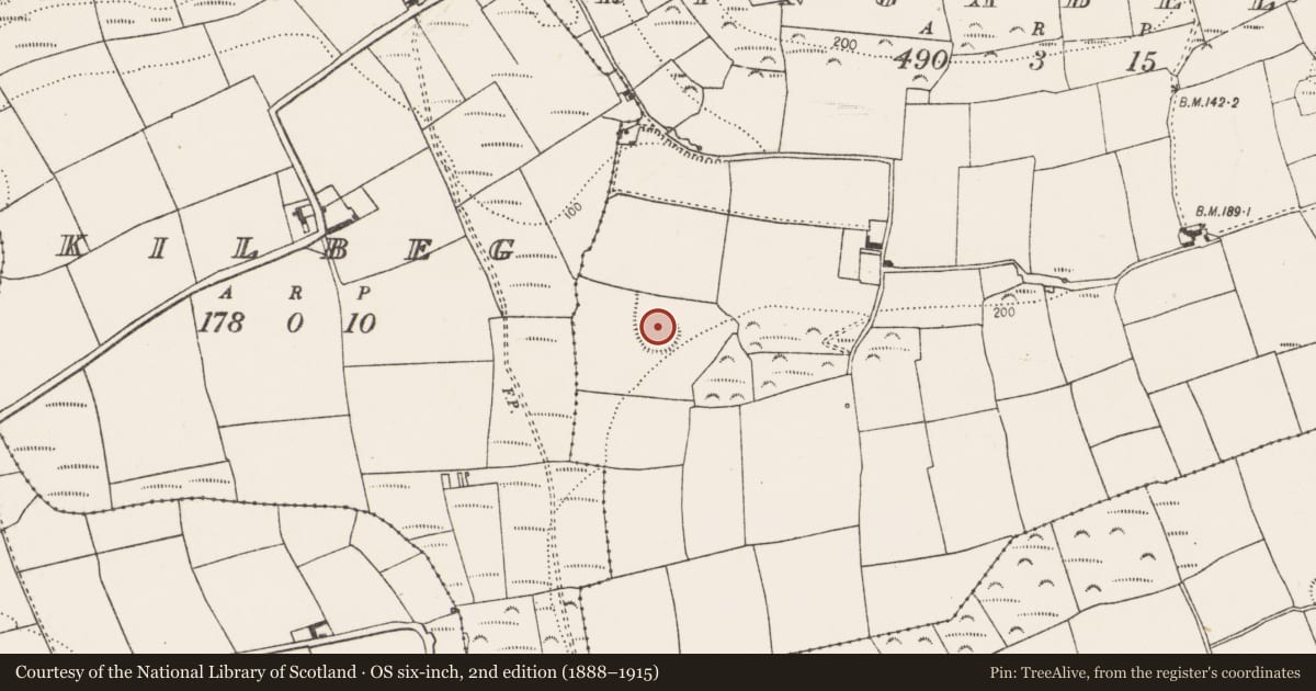 Ordnance Survey six-inch map, 2nd edition (1888–1915) covering the location of Ringfort - rath, Ringabella, County Cork, with a pin at the register's coordinates