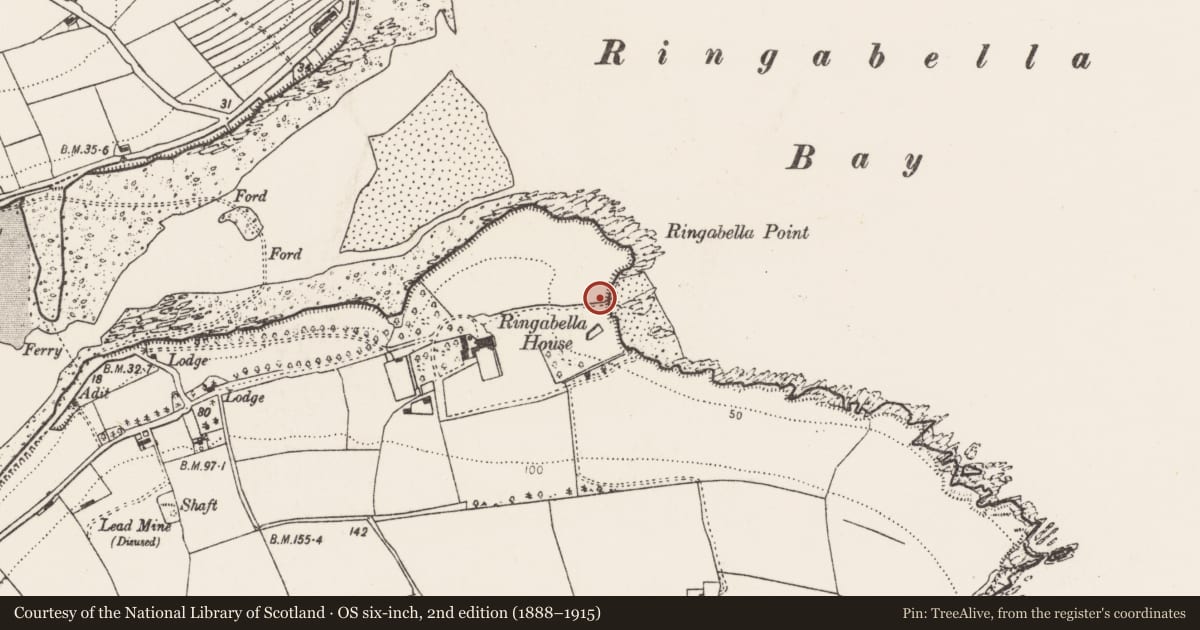 Ordnance Survey six-inch map, 2nd edition (1888–1915) covering the location of Burial, Ringabella, County Cork, with a pin at the register's coordinates