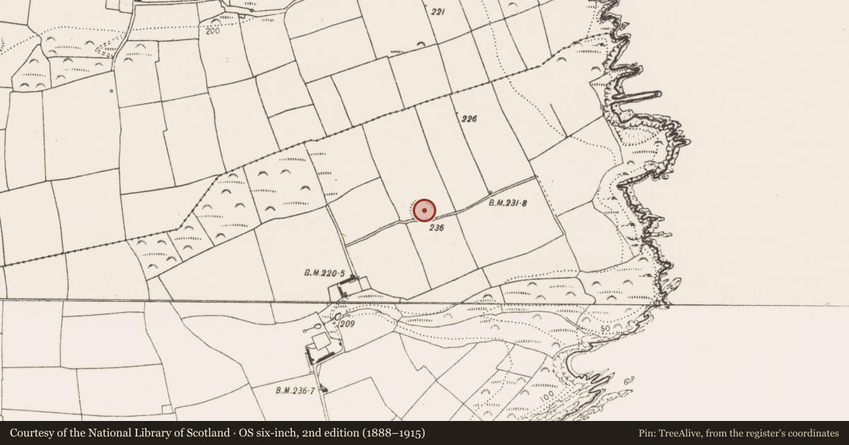 Ordnance Survey six-inch map, 2nd edition (1888–1915) covering the location of Ringfort - rath, Doonavanig, County Cork, with a pin at the register's coordinates
