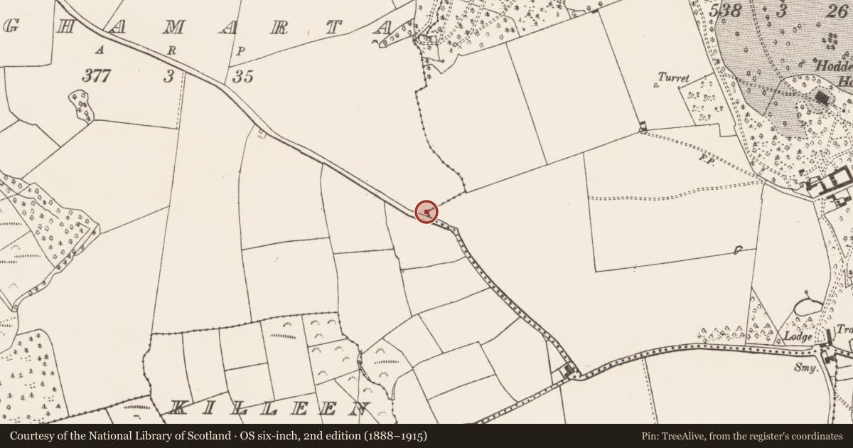 Ordnance Survey six-inch map, 2nd edition (1888–1915) covering the location of Church, Hoddersfield, County Cork, with a pin at the register's coordinates