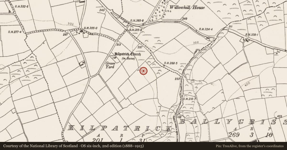 Ordnance Survey six-inch map, 2nd edition (1888–1915) covering the location of Fulacht fia, Kilpatrick, County Cork, with a pin at the register's coordinates