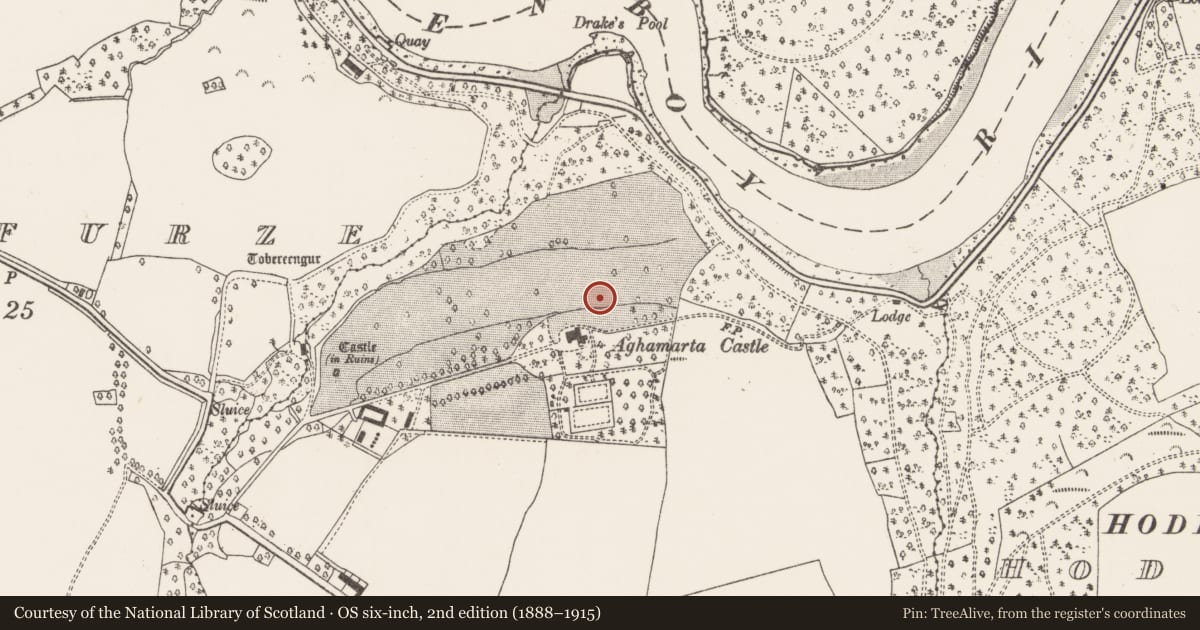 Ordnance Survey six-inch map, 2nd edition (1888–1915) covering the location of Standing stone, Aghamarta, County Cork, with a pin at the register's coordinates