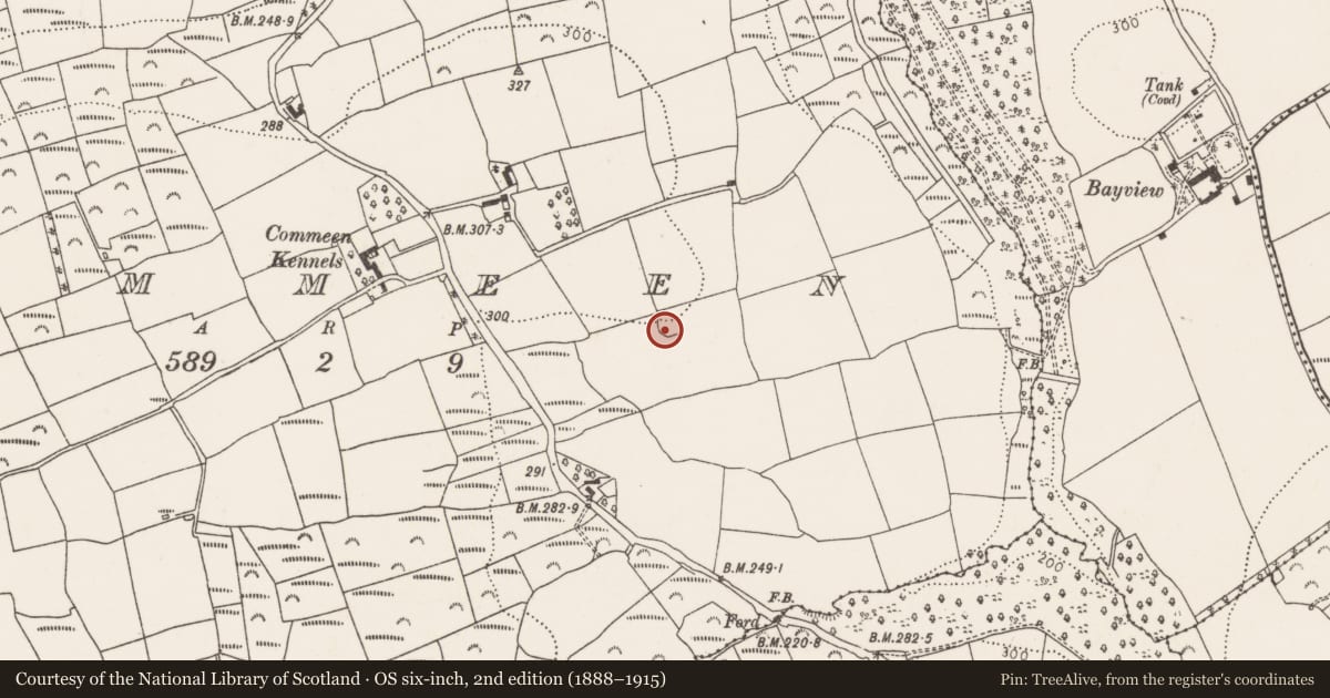 Ordnance Survey six-inch map, 2nd edition (1888–1915) covering the location of Ringfort - rath, Commeen, County Cork, with a pin at the register's coordinates