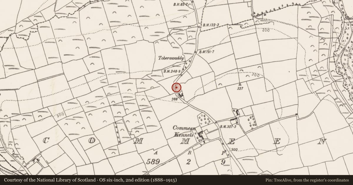 Ordnance Survey six-inch map, 2nd edition (1888–1915) covering the location of Ringfort - rath, Commeen, County Cork, with a pin at the register's coordinates