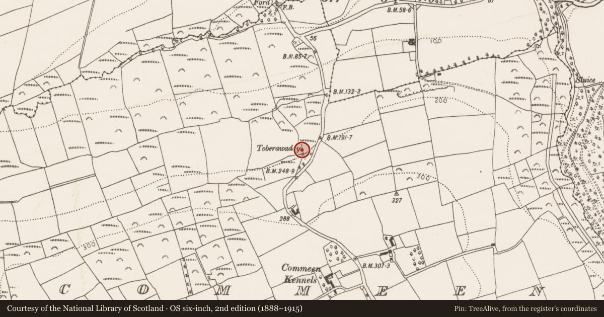 Ordnance Survey six-inch map, 2nd edition (1888–1915) covering the location of Fulacht fia, Commeen, County Cork, with a pin at the register's coordinates