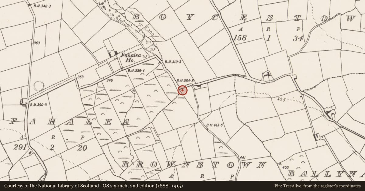 Ordnance Survey six-inch map, 2nd edition (1888–1915) covering the location of Fulacht fia, Brownstown, County Cork, with a pin at the register's coordinates