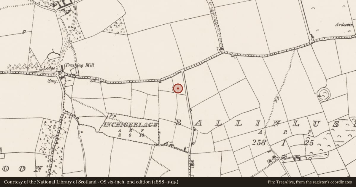 Ordnance Survey six-inch map, 2nd edition (1888–1915) covering the location of Souterrain, Ballinluska, County Cork, with a pin at the register's coordinates