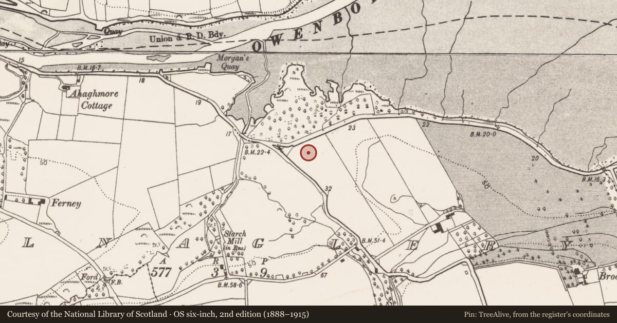 Ordnance Survey six-inch map, 2nd edition (1888–1915) covering the location of Fulacht fia, Kilnaglery, County Cork, with a pin at the register's coordinates