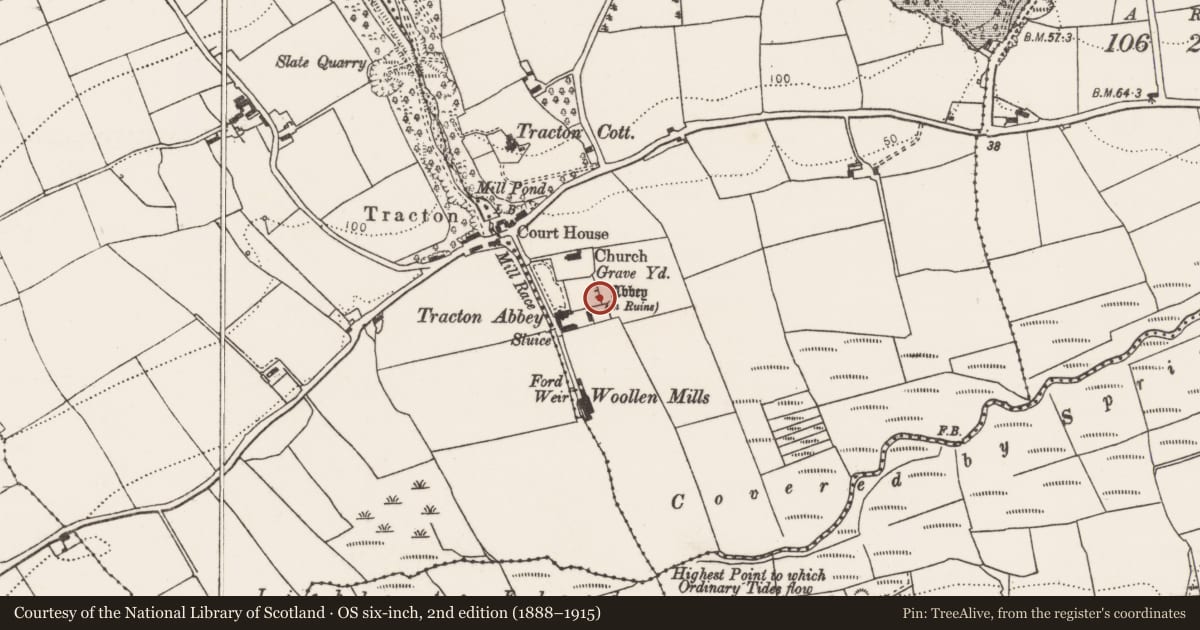 Ordnance Survey six-inch map, 2nd edition (1888–1915) covering the location of Sheela-na-gig, Tubbrid, County Cork, with a pin at the register's coordinates