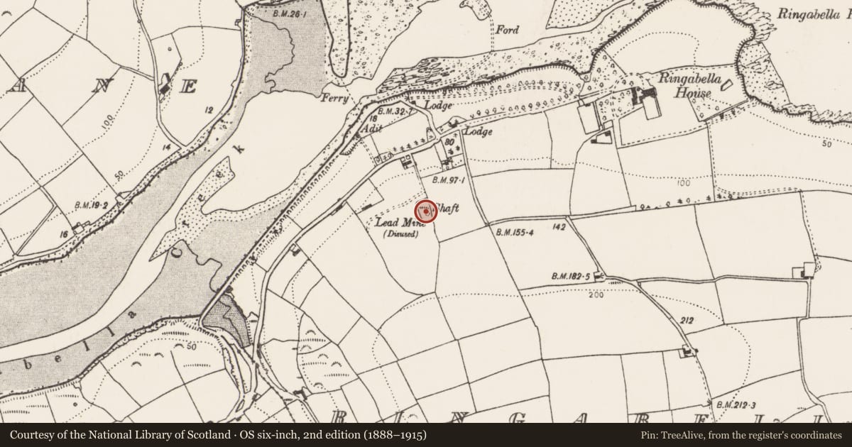 Ordnance Survey six-inch map, 2nd edition (1888–1915) covering the location of Mine - lead, Ringabella, County Cork, with a pin at the register's coordinates