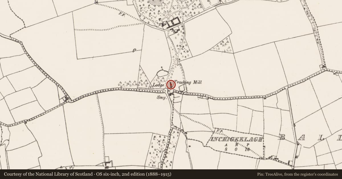 Ordnance Survey six-inch map, 2nd edition (1888–1915) covering the location of Mill - unclassified, Hoddersfield, County Cork, with a pin at the register's coordinates