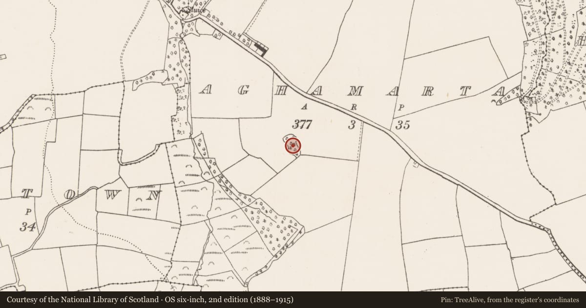 Ordnance Survey six-inch map, 2nd edition (1888–1915) covering the location of Enclosure, Aghamarta, County Cork, with a pin at the register's coordinates