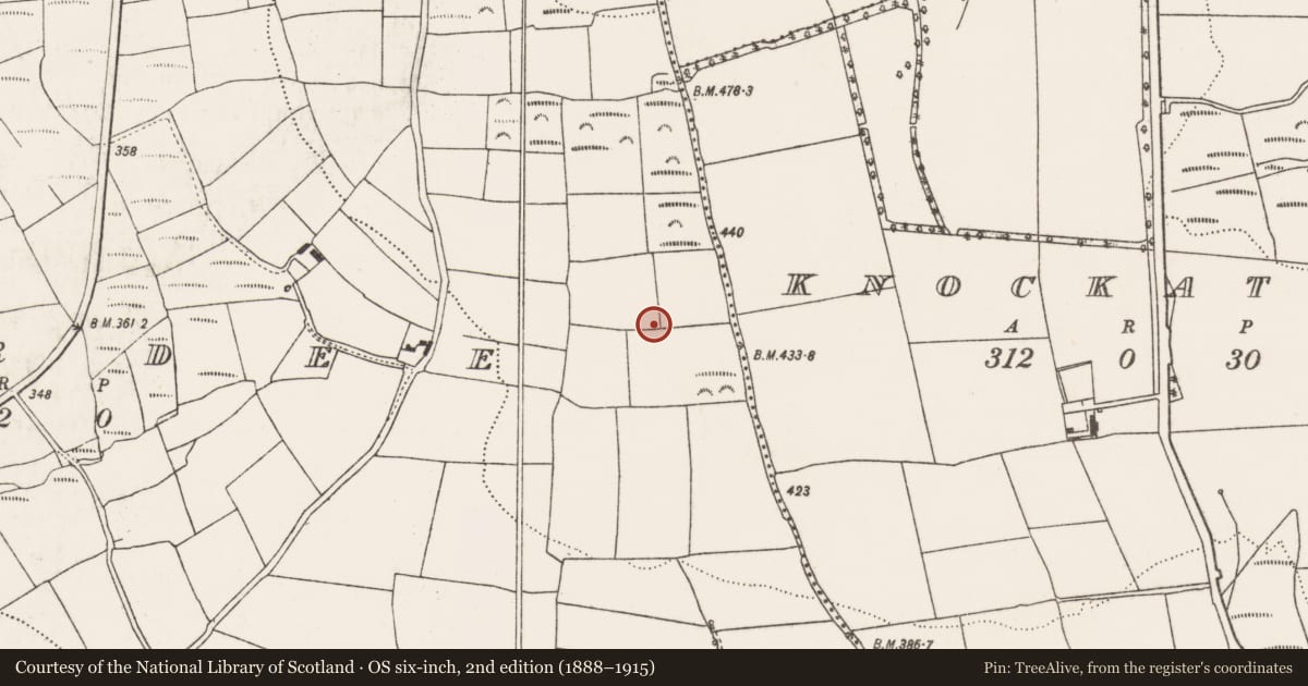 Ordnance Survey six-inch map, 2nd edition (1888–1915) covering the location of Mass-rock, Boardee, County Cork, with a pin at the register's coordinates