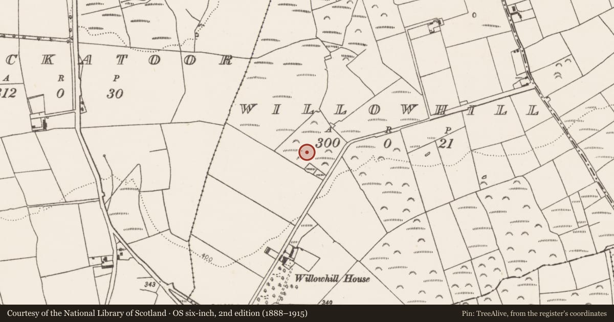 Ordnance Survey six-inch map, 2nd edition (1888–1915) covering the location of Fulacht fia, Willowhill, County Cork, with a pin at the register's coordinates
