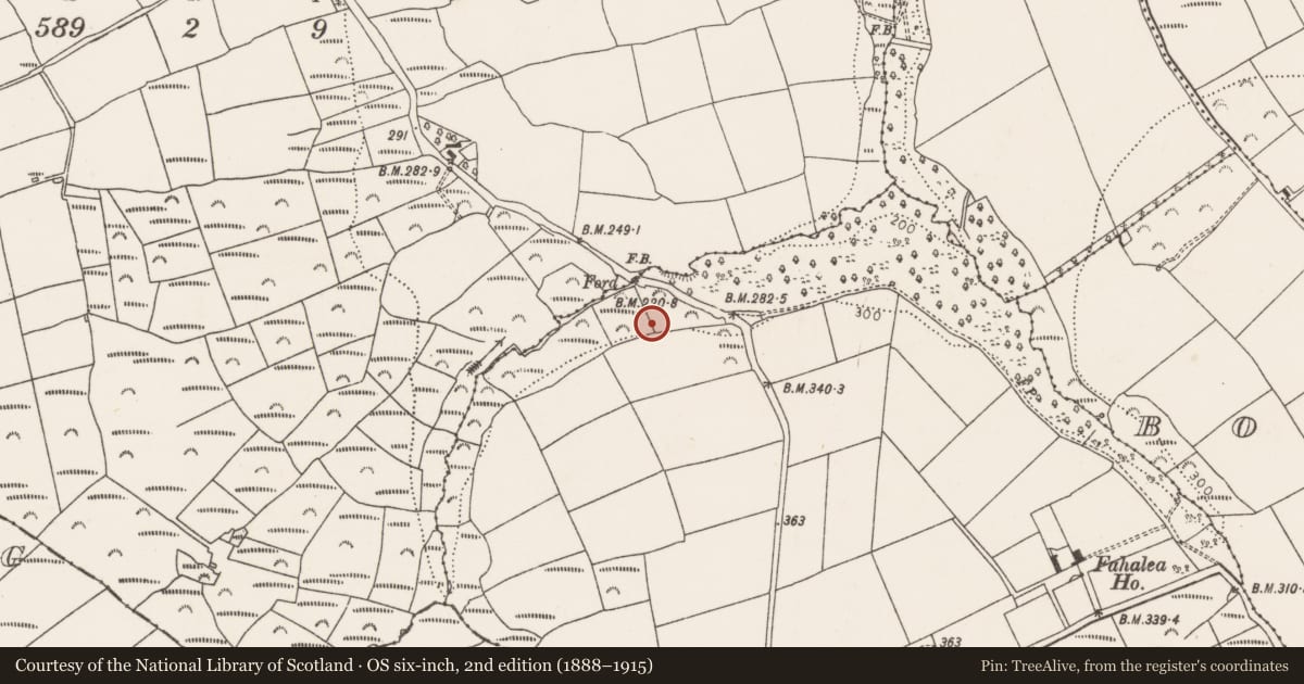 Ordnance Survey six-inch map, 2nd edition (1888–1915) covering the location of Standing stone - pair, Fahalea, County Cork, with a pin at the register's coordinates
