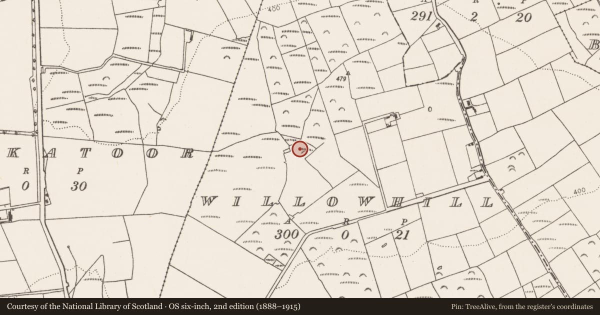Ordnance Survey six-inch map, 2nd edition (1888–1915) covering the location of Ringfort - rath, Willowhill, County Cork, with a pin at the register's coordinates