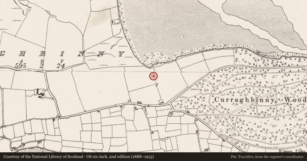 Ordnance Survey six-inch map, 2nd edition (1888–1915) covering the location of Burnt spread, Curraghbinny, County Cork, with a pin at the register's coordinates