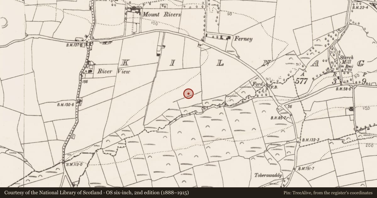 Ordnance Survey six-inch map, 2nd edition (1888–1915) covering the location of Excavation - miscellaneous, Kilnaglery, County Cork, with a pin at the register's coordinates