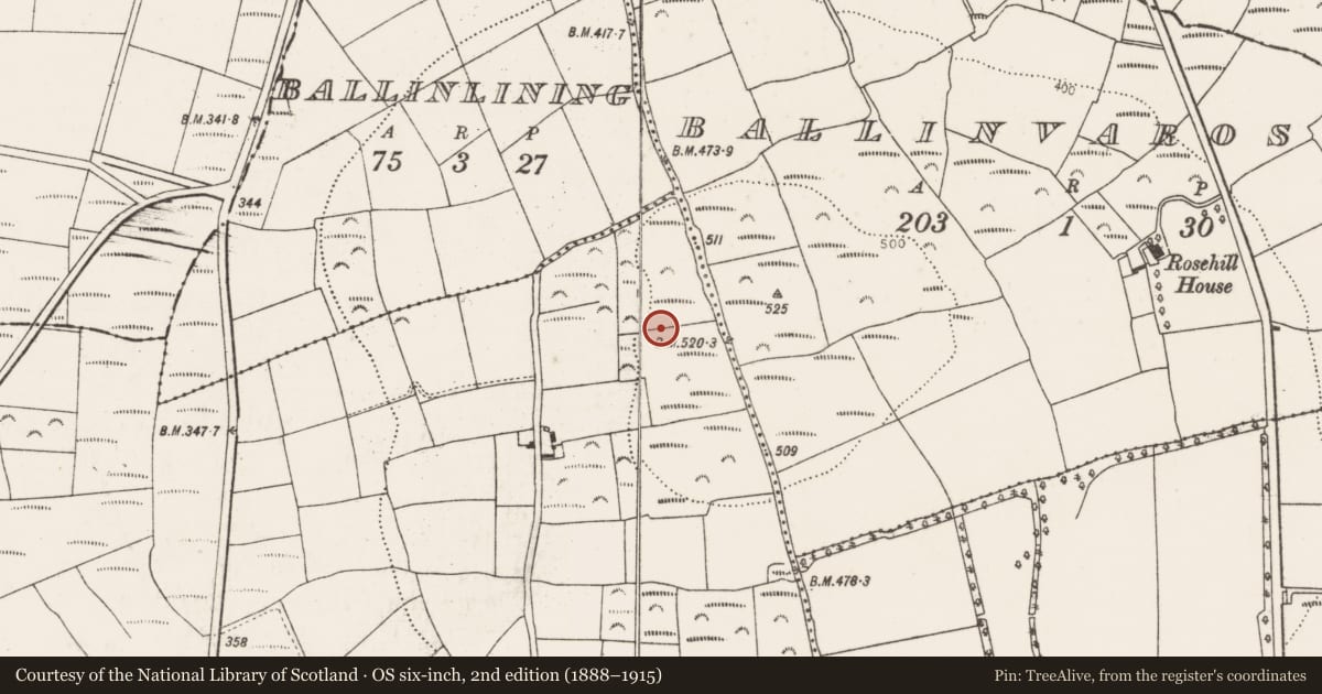 Ordnance Survey six-inch map, 2nd edition (1888–1915) covering the location of Standing stone, Boardee, County Cork, with a pin at the register's coordinates