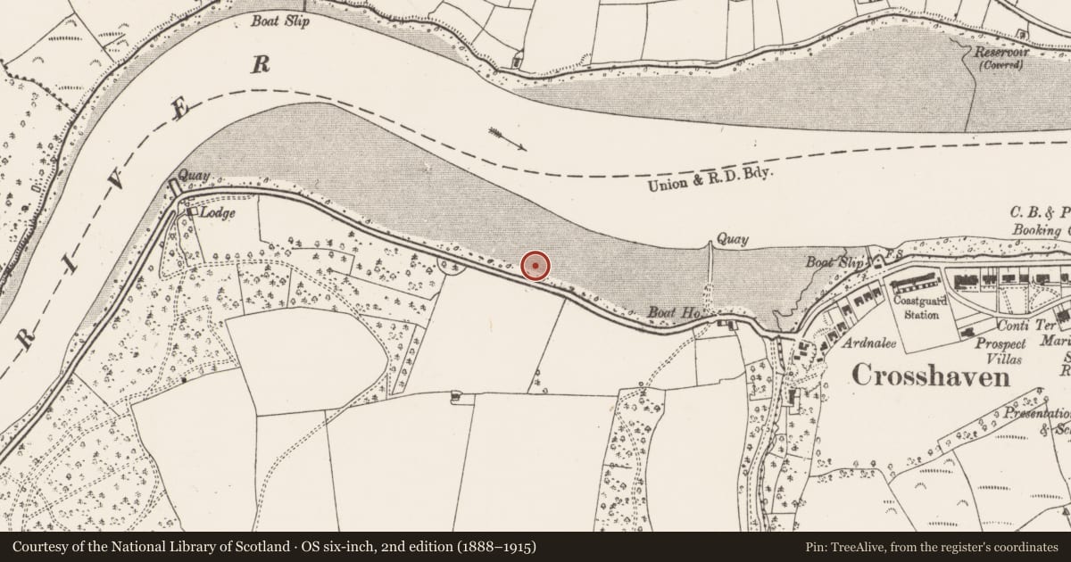 Ordnance Survey six-inch map, 2nd edition (1888–1915) covering the location of Weir - fish, Hoddersfield, County Cork, with a pin at the register's coordinates