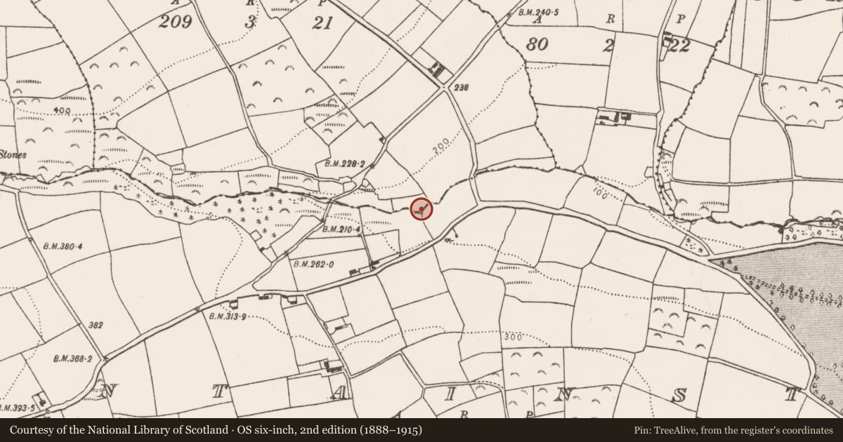 Ordnance Survey six-inch map, 2nd edition (1888–1915) covering the location of Fulacht fia, Ballynaneening, County Cork, with a pin at the register's coordinates