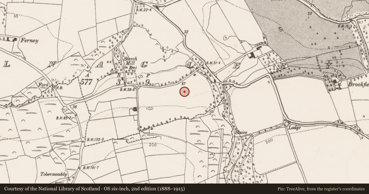 Ordnance Survey six-inch map, 2nd edition (1888–1915) covering the location of Fulacht fia, Kilnaglery, County Cork, with a pin at the register's coordinates