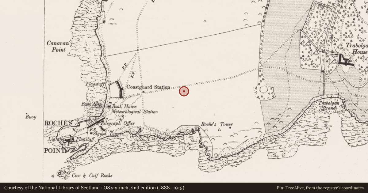 Ordnance Survey six-inch map, 2nd edition (1888–1915) covering the location of Prehistoric site - lithic scatter, Trabolgan, County Cork, with a pin at the register's coordinates