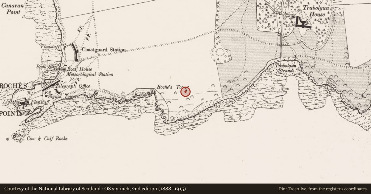 Ordnance Survey six-inch map, 2nd edition (1888–1915) covering the location of Designed landscape - belvedere, Trabolgan, County Cork, with a pin at the register's coordinates