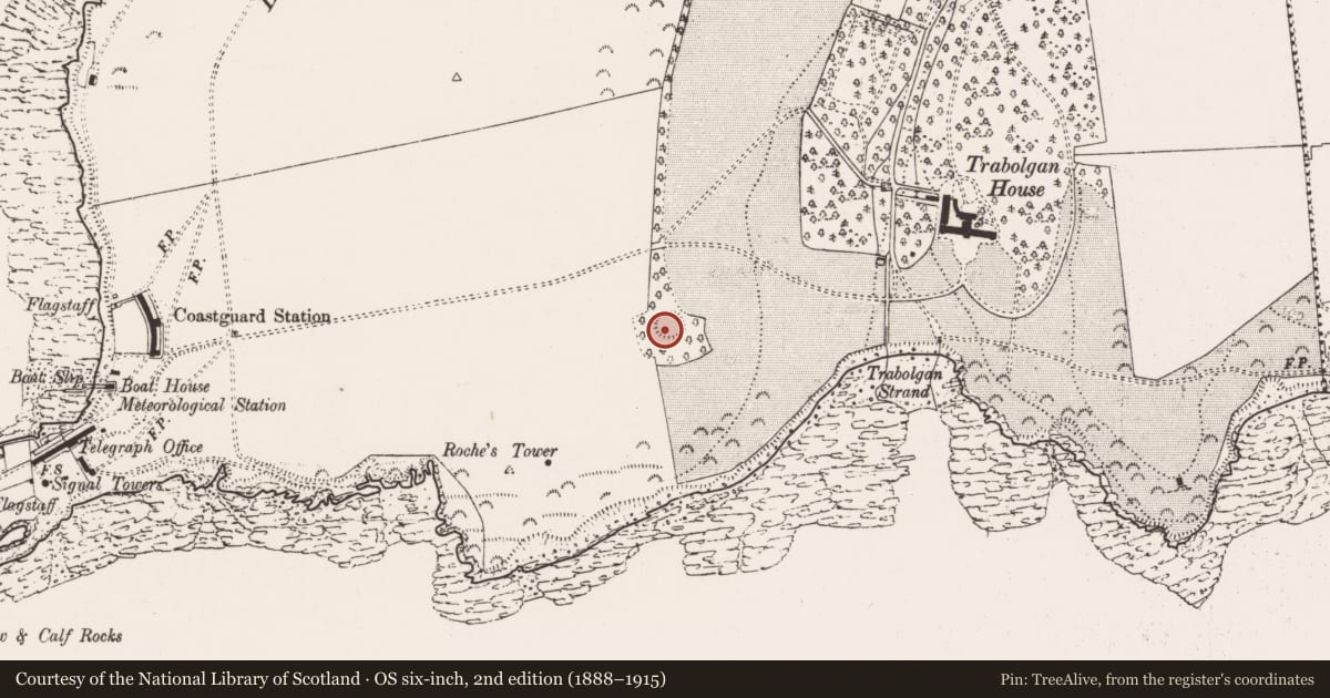 Ordnance Survey six-inch map, 2nd edition (1888–1915) covering the location of Ringfort - rath, Trabolgan, County Cork, with a pin at the register's coordinates