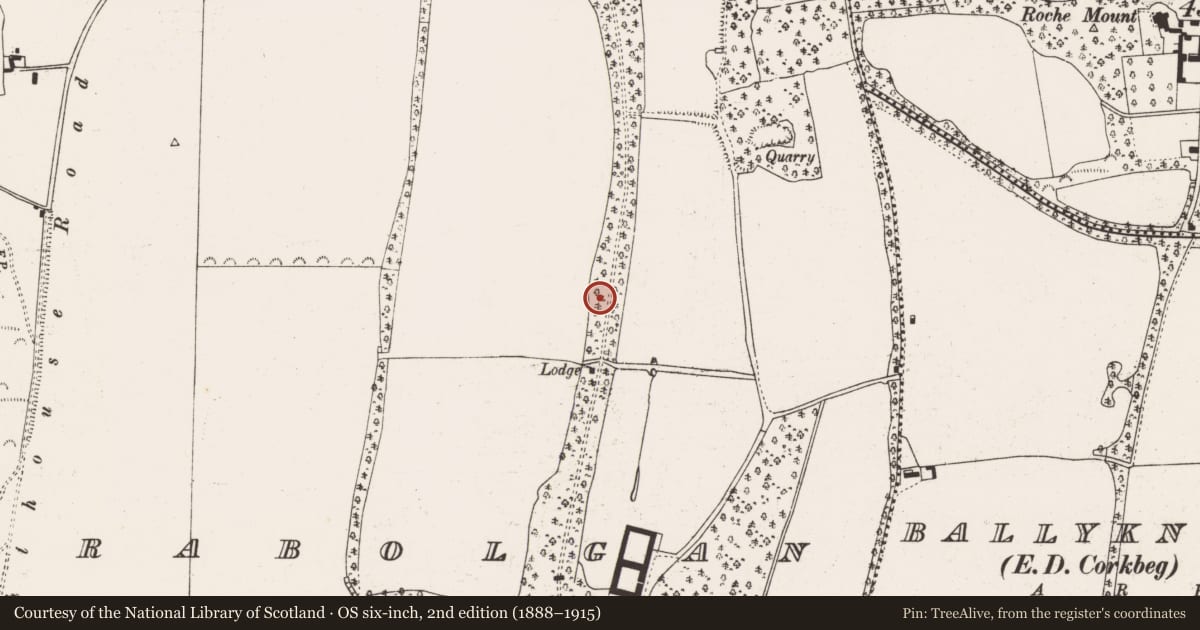 Ordnance Survey six-inch map, 2nd edition (1888–1915) covering the location of Earthwork, Trabolgan, County Cork, with a pin at the register's coordinates